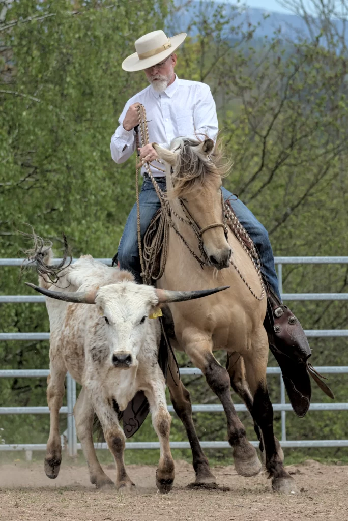 Jeff Sanders circling a horned cow
